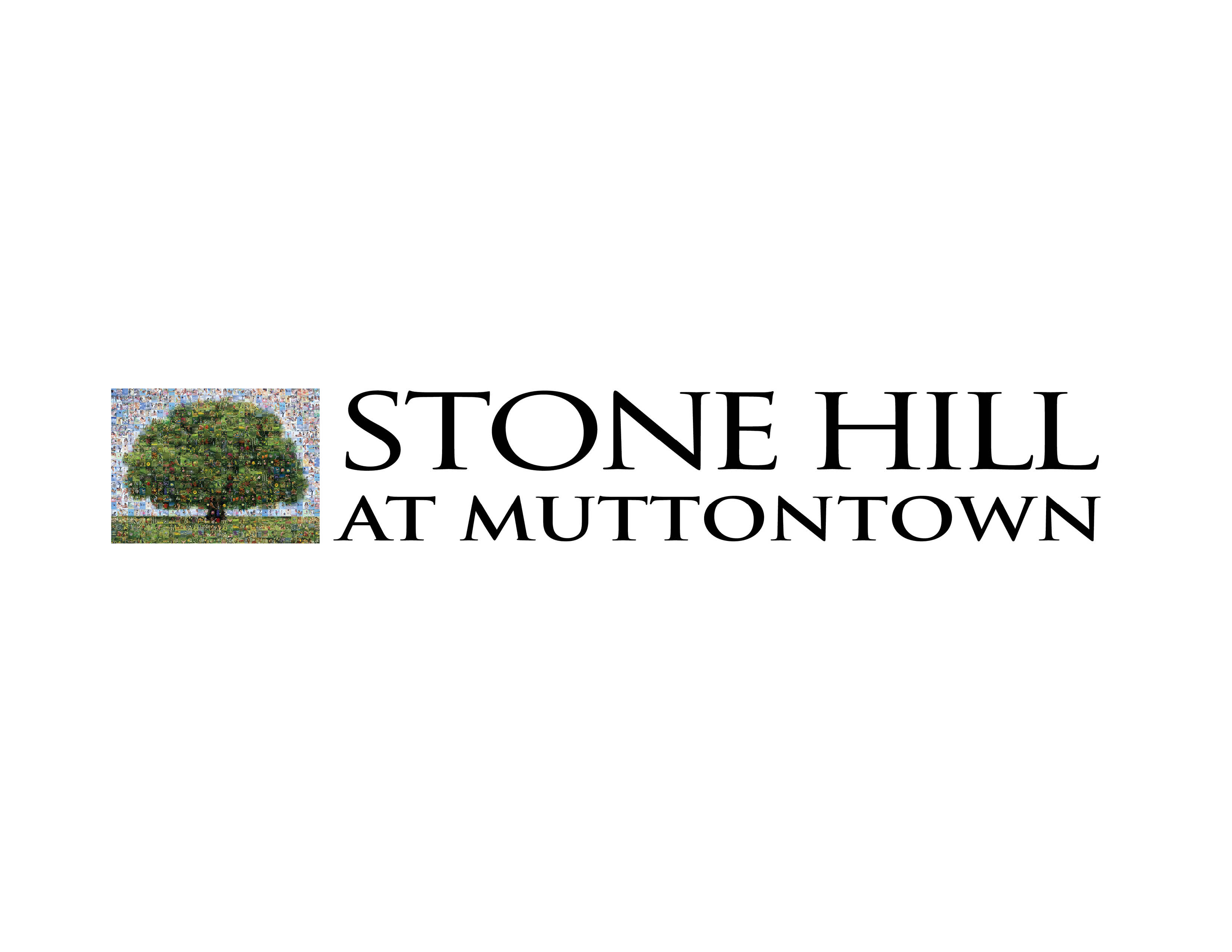 Stone Hill at Muttontown homes for sale